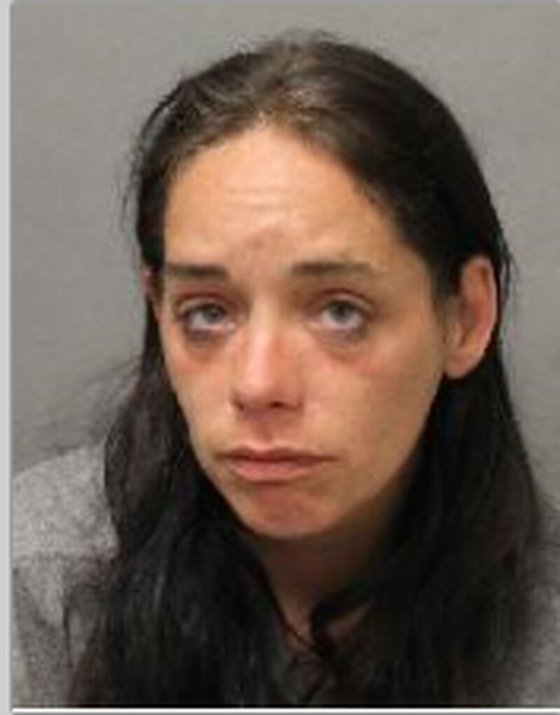 police search for missing toronto woman chelsea cran