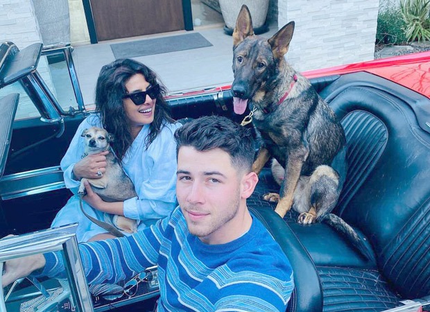 Priyanka Chopra reunites with husband Nick Jonas and her two pets after wrapping The Matrix 4 shoot in Berlin