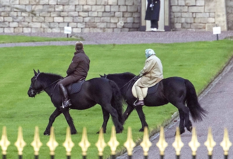 queen elizabeth: back in the saddle