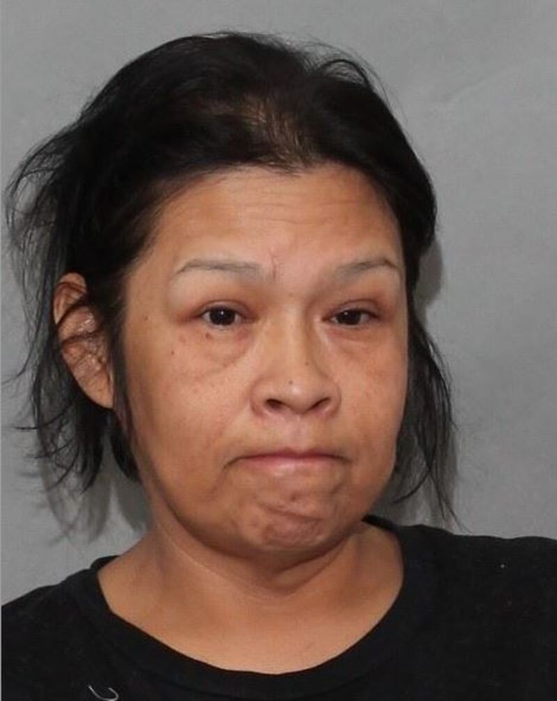 police search for missing toronto woman donna sofea