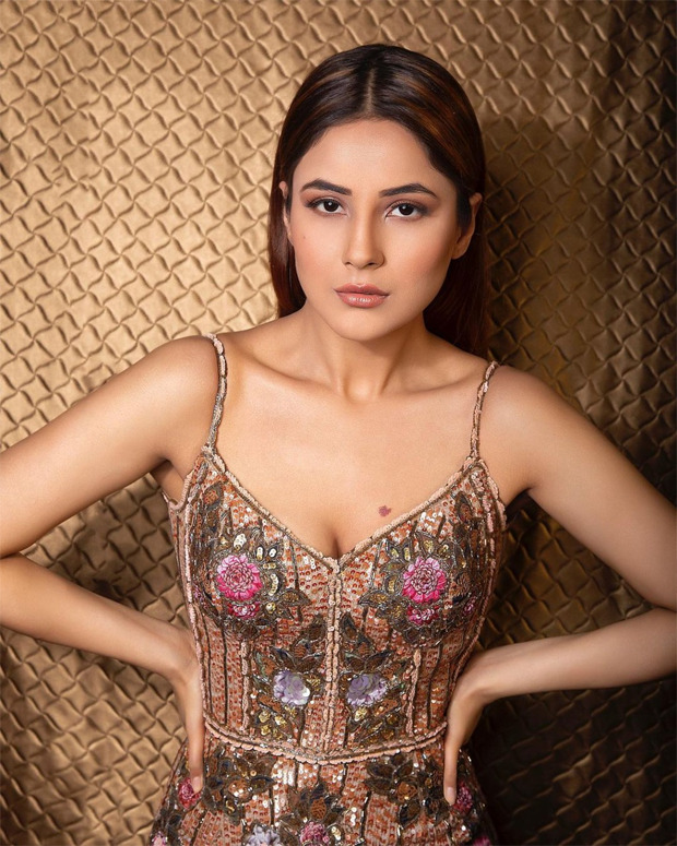 Shehnaaz Gill looks glamourous in this plunging neckline embellished dress by Rocky Star