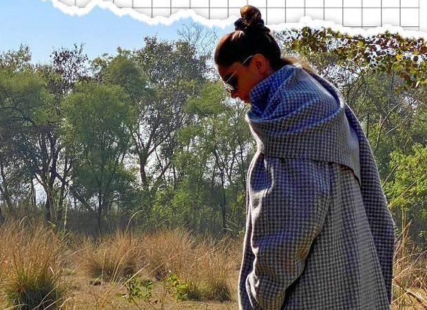 Deepika Padukone shares scenic pictures and videos from Ranthambore, urges people to take the much-needed break