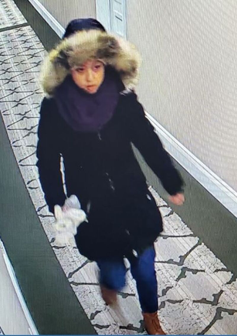 police search for missing toronto woman shelley yu