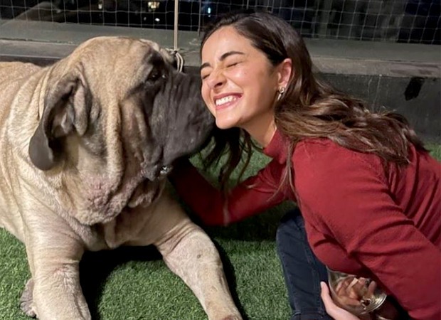 Alia Bhatt captures a candid moment of Ananya Panday as she plays with Ranbir Kapoor's pug