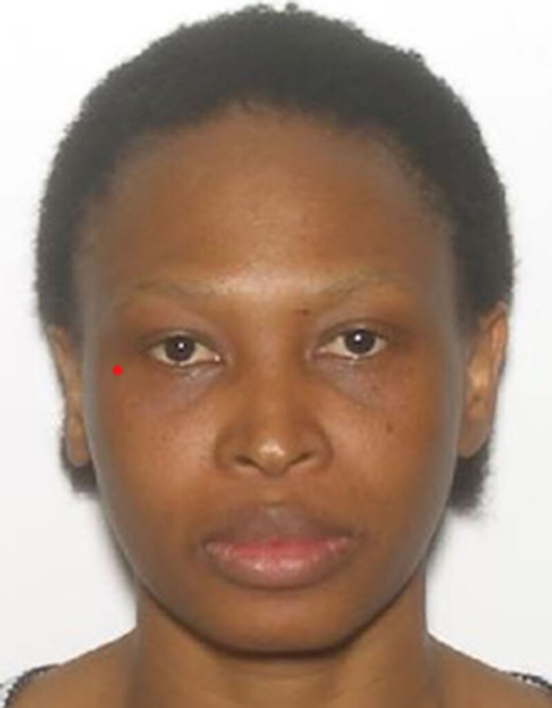 police search for missing toronto woman cynthia panama