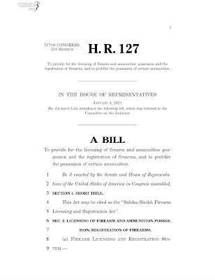 House Resolution 127 Gun Control United States