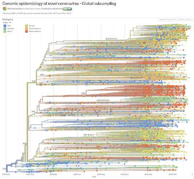 Evolution SARS-CoV-2 Virus