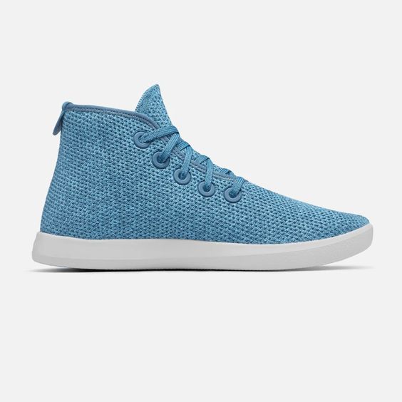 Single Allbirds Shoe