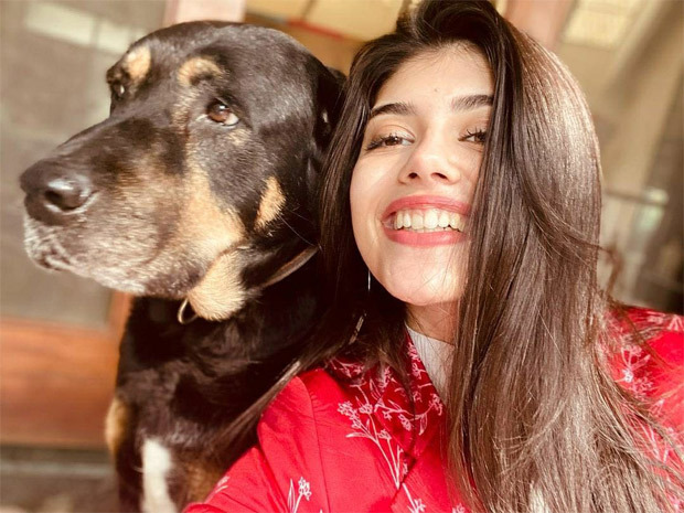 Sanjana Sanghi shares the joyful experience of having 5 pet dogs at her home