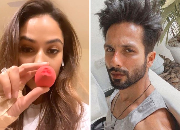 Mira Kapoor shares her millennial Mom Fail moment; Shahid Kapoor reacts