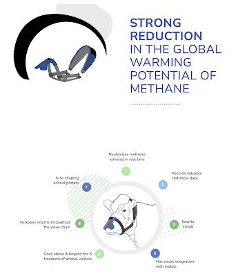 Capturing Methane Emissions from Cattle