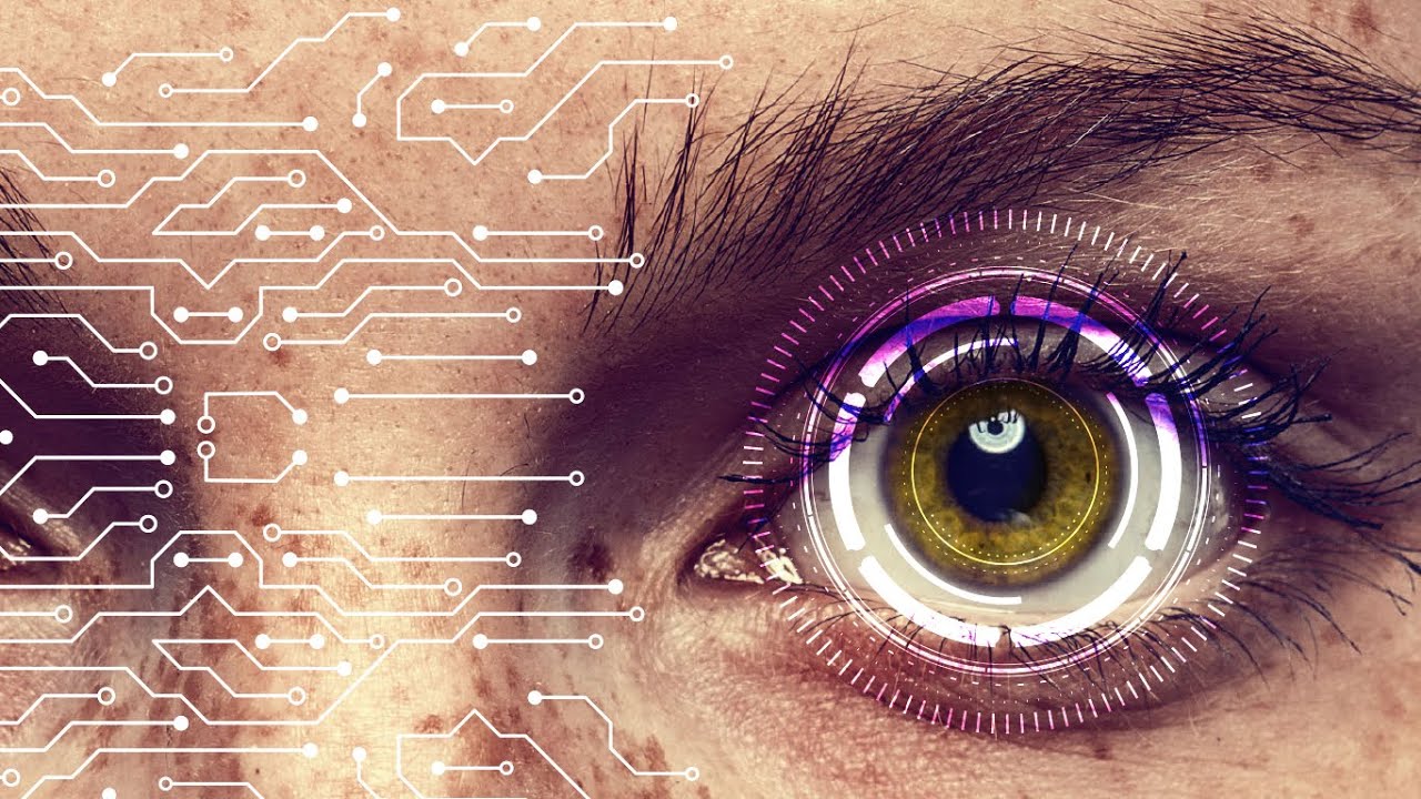 Biodigital Convergence – The Evolution of Homo Superiorus