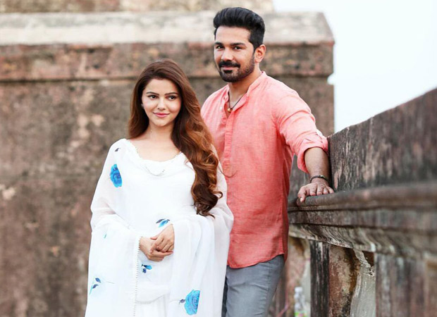 Rubina Dilaik and Abhinav Shukla to share the screen once again for a music video