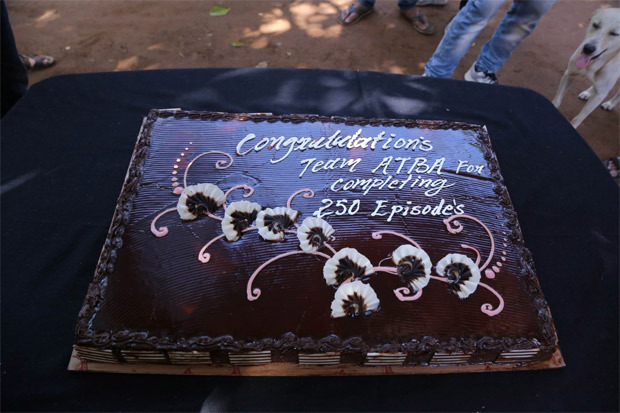 Cast of Zee TV’s Apna Time Bhi Aayega celebrate 250 episodes by cutting a cake