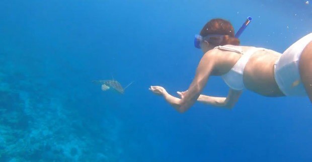 ananya panday swims with turtles in the gorgeous blue sea in latest videos