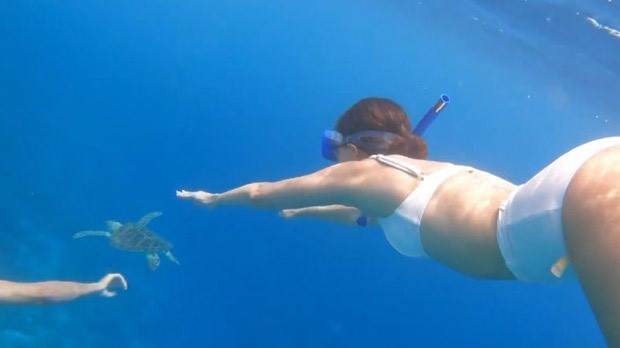 ananya panday swims with turtles in the gorgeous blue sea in latest videos