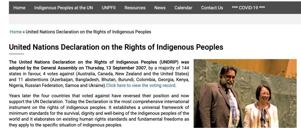 United Nations Declaration on the Rights of Indigenous Peoples