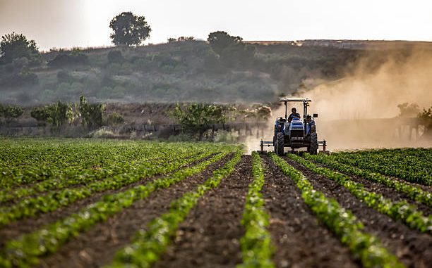Tractor mowing crops