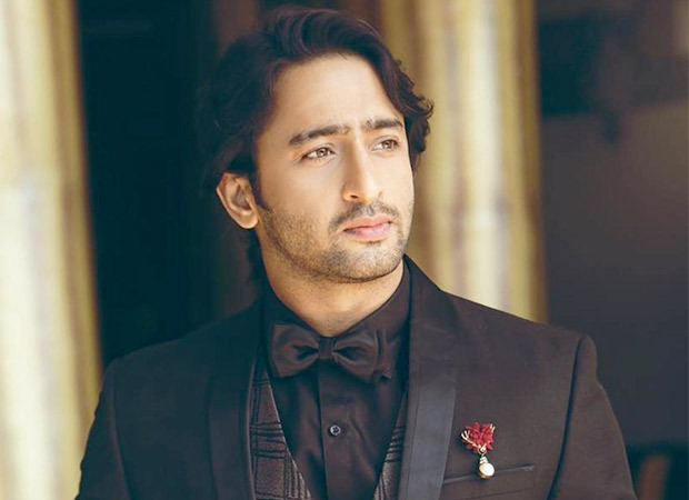 shaheer sheikh to play the protagonist in rajan shah’s next fiction show