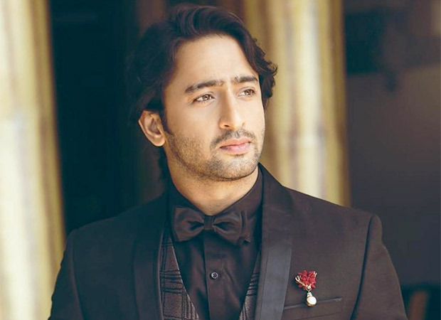 Shaheer-Sheikh-to-play-the-protagonist-in-Rajan-Shahs-next-fiction-show-2
