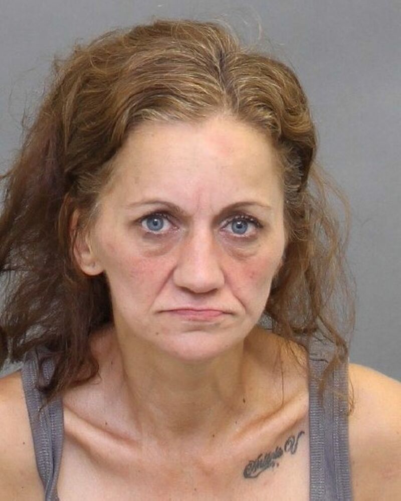 police search for missing toronto woman isabella santos