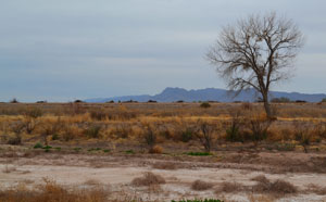 A dry Rio Grande