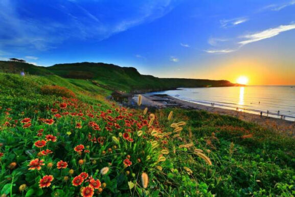 Blooming Nature in Taiwan taiwan