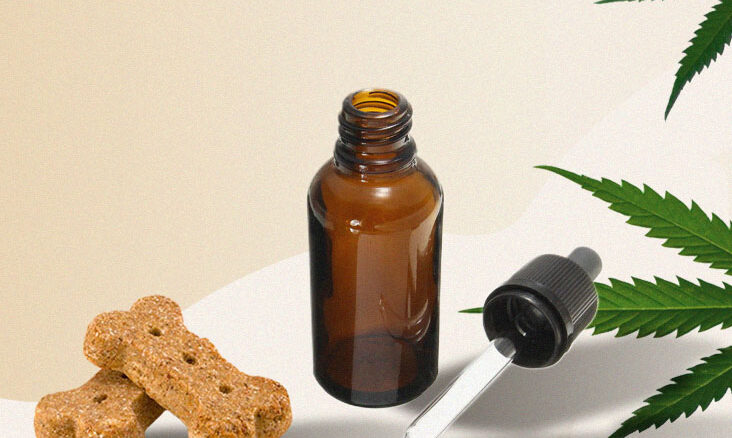 cbd dog treats, Promo Code, CBD Products