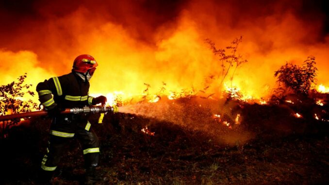 Forest fires france uk