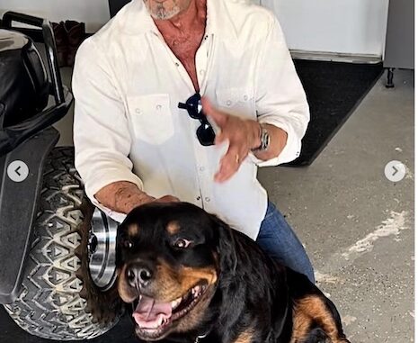 Sylvester Stallone