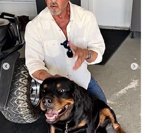 Sylvester Stallone Marriage on the rocks Sylvester Stallone