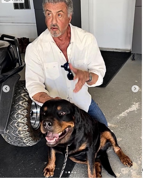 Sylvester Stallone
