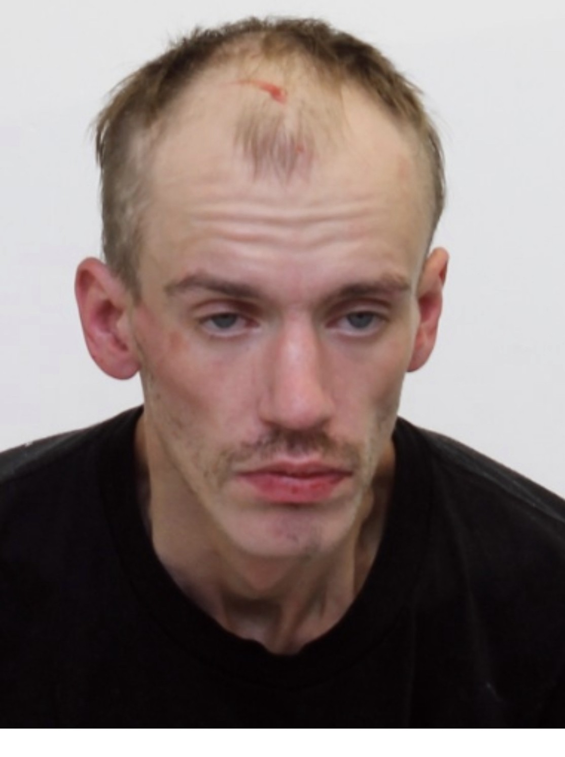 tyler.jpg Tyler Moss