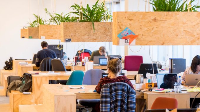 Self-employed workers increases worldwide 2023 Self-employed workers