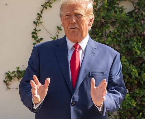 Donald Trump Plans to Direct His Supporters to Vote for Joe Biden in 2024 Donald Trump