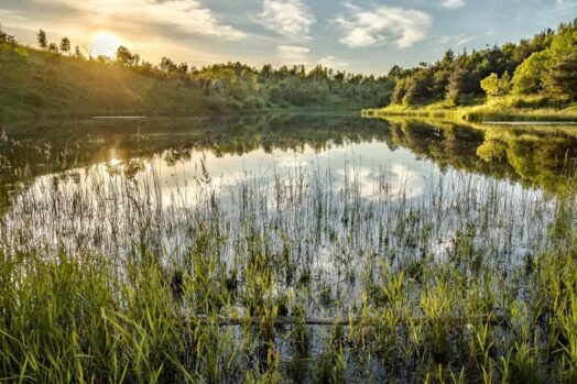Top Canada’s Happiest Cities top five happiest cities