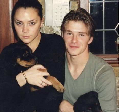 The Everlasting Love Story of the Beckhams David Beckham