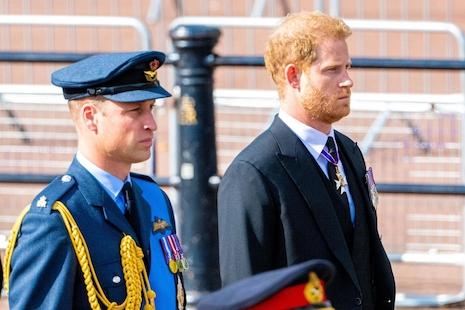 Prince William, Prince Harry