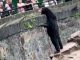 bear, Chinese zoo,