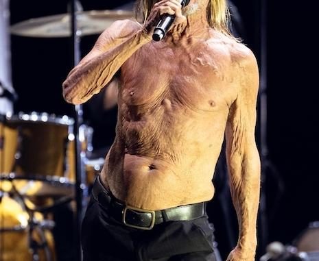 Iggy Pop
