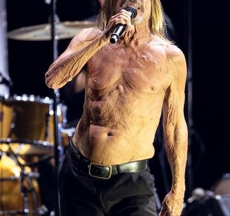 The Unstoppable Iggy Pop Iggy Pop