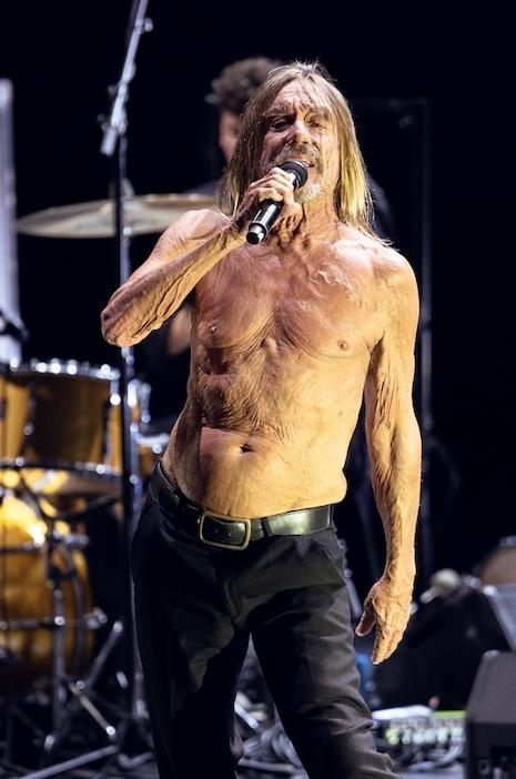 Iggy Pop