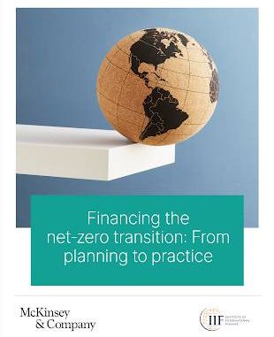Net-Zero World
