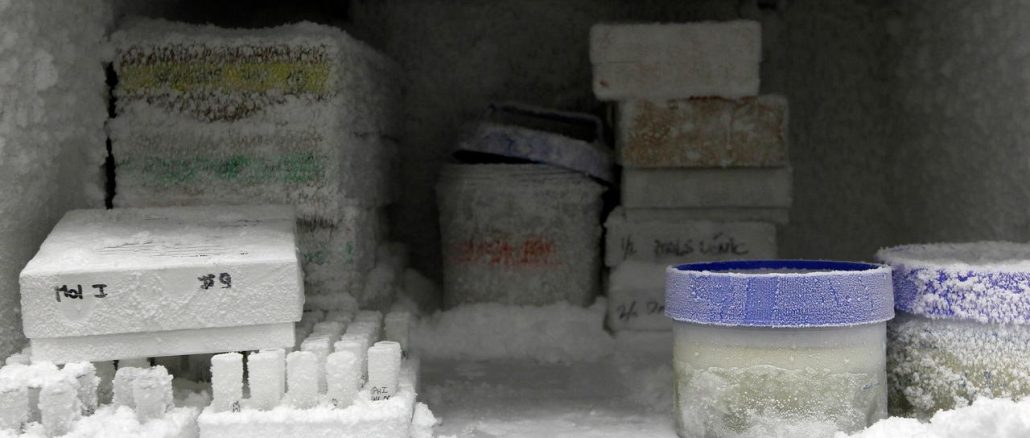 Food Storage in Freezer