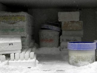 Food Storage in Freezer