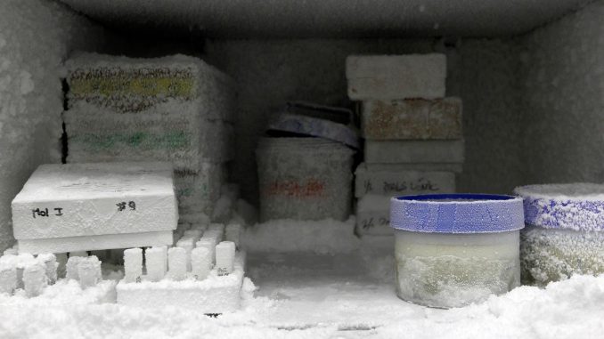 Food Storage in Freezer