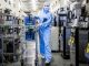 Chip Sector