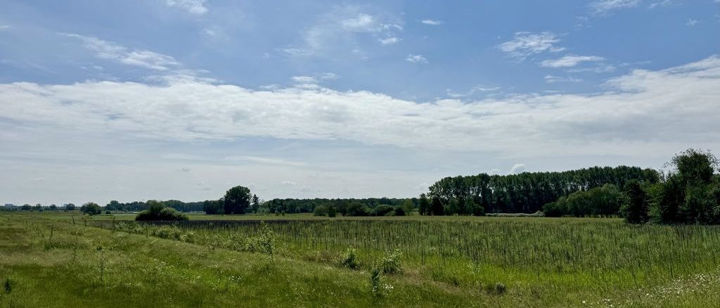 The green light for ASML growth ASML growth