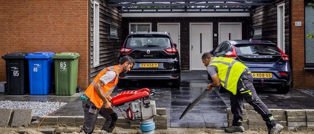 Network company Delta