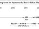 United States Hypersonic Weapons Programs